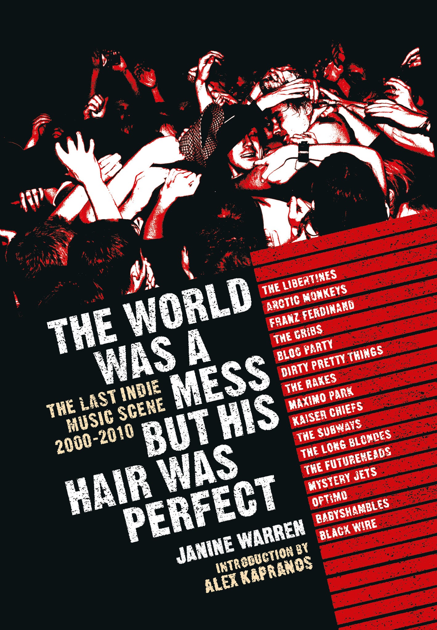 Cover image for The World Was A Mess But His Hair Was Perfect ISBN 9781915841261